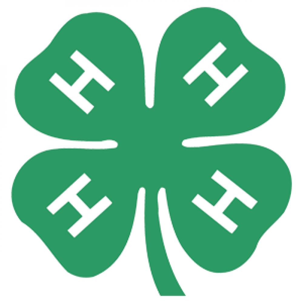 4-H Volunteer icon