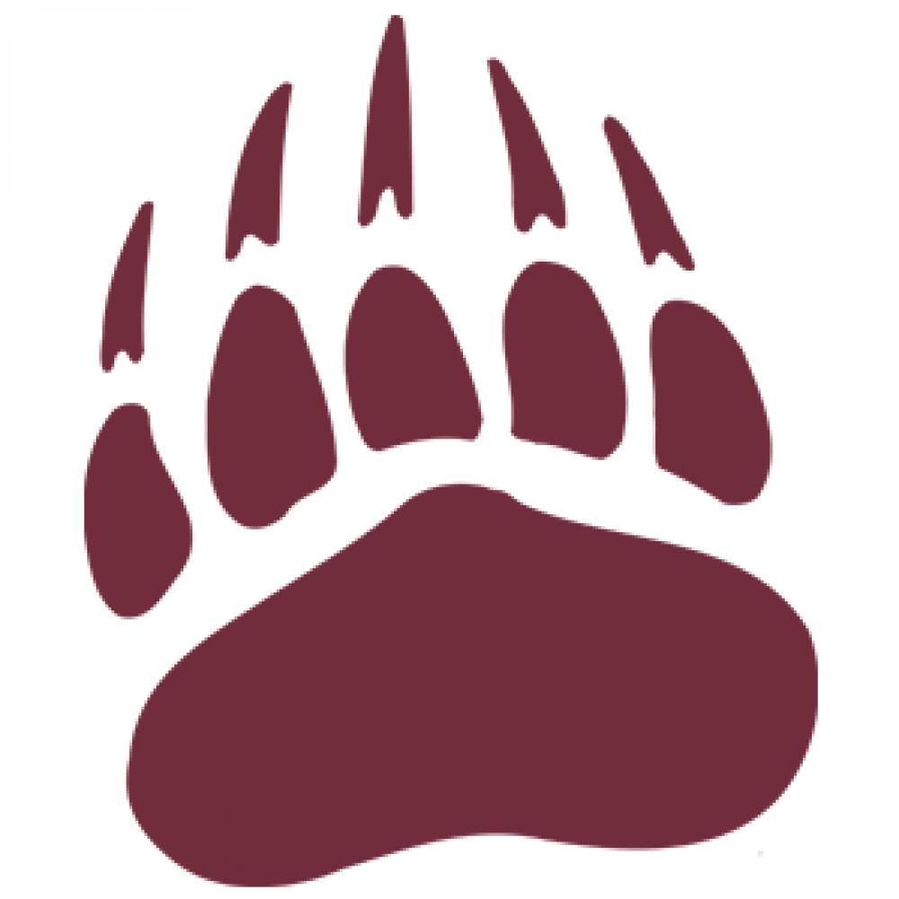 University of Montana, Missoula MT icon